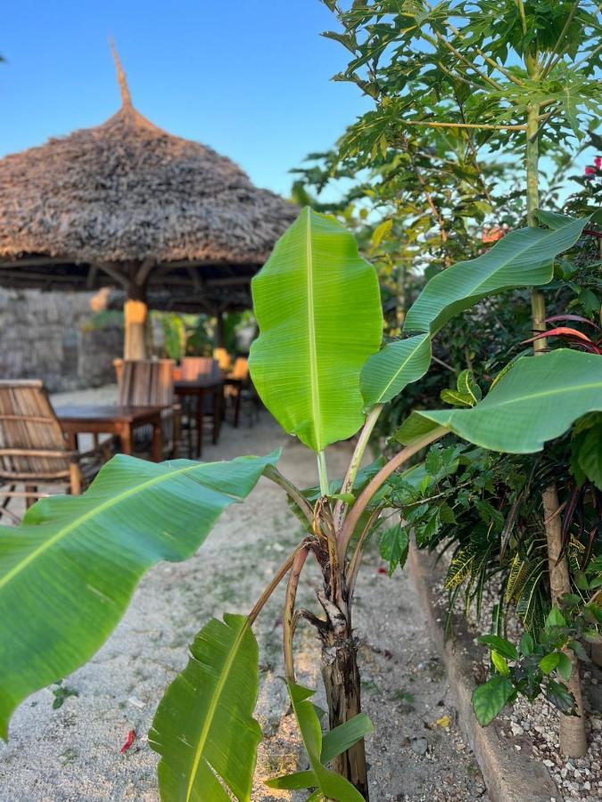 Mbuyuni Lodge ナングウィ エクステリア 写真